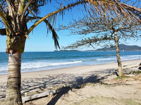 El Ni o xxxポルノスター 写真