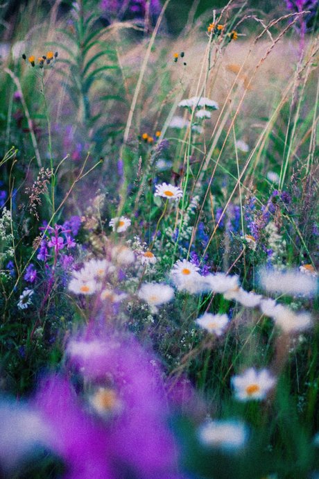 leslieevelynx3 xxxポルノスター ギャラリー