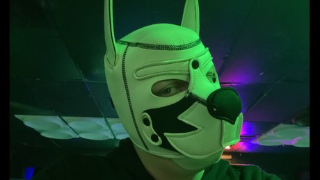 Pup Dax 裸のポルノスター ギャラリー