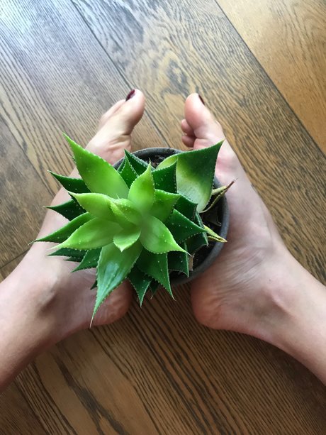 Howtosqu rt ホットモデル ギャラリー