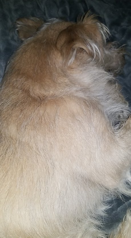 Allyson Watkins 無料モデル 画像