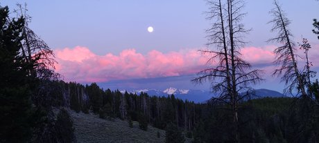 Jt3111 かわいいモデル 画像