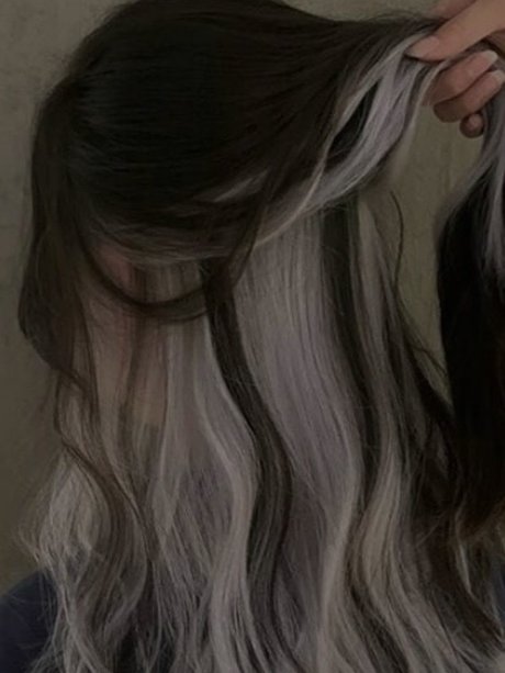 Zen_ 無料スター 画像