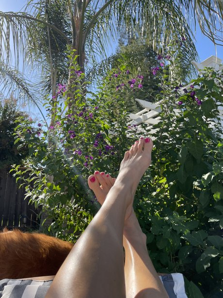 Vixen Viking スター 写真