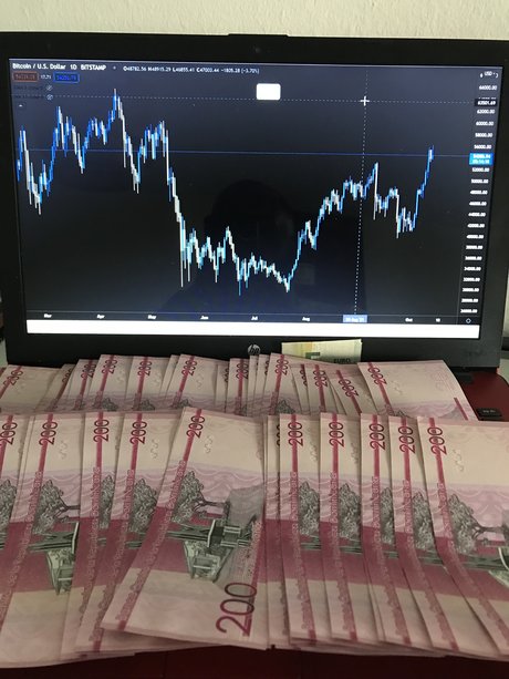 MorenoPips トップ女優 ギャラリー