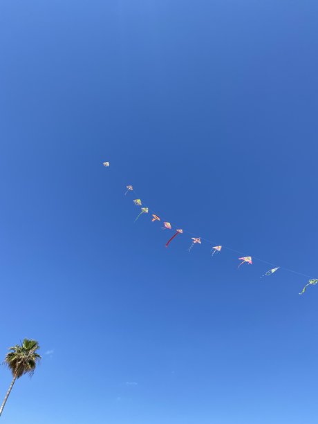 Royalpenny セックスモデル 写真