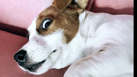 足の動画 オンリーファンズ ヌード ギャラリー