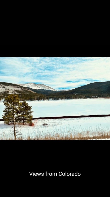 Sheldon Bucknor ポルノスター 美しい ギャラリー