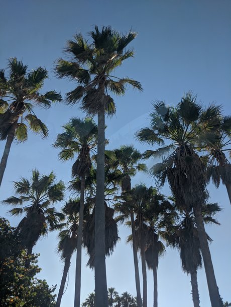 Laetitia_ トップポルノスター 写真