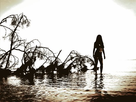 Em amp ampEm ポルノスター ホット 写真