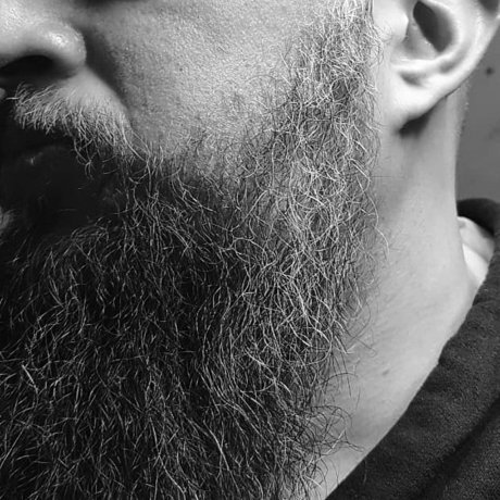 KePaZZa 最高のスター 写真