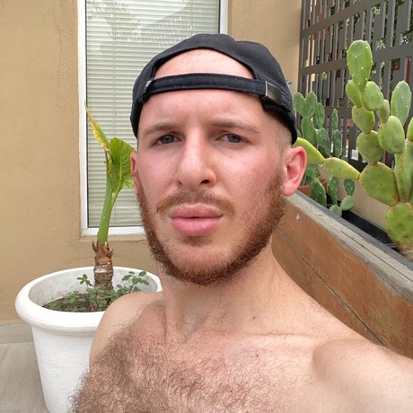 Nico Bellic 高品質のスター 写真