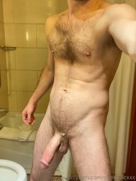 Nico Bellic 写真集