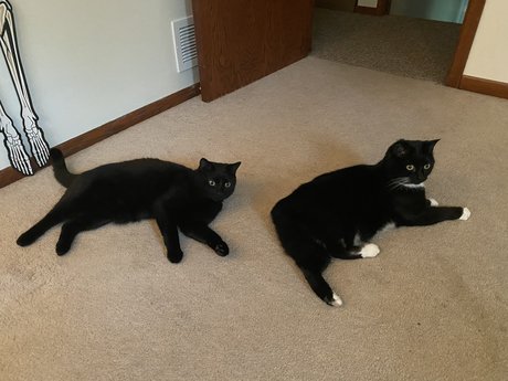 貞操帯オンリーファンズ 無料ポルノ アーカイブ