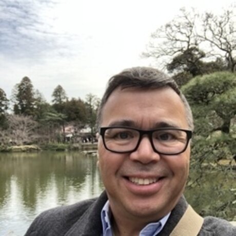 Fly Wills トップスター 写真