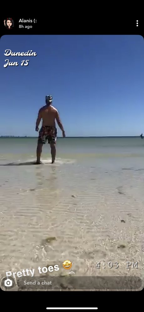 Tazmanian Devil アートスター アーカイブ