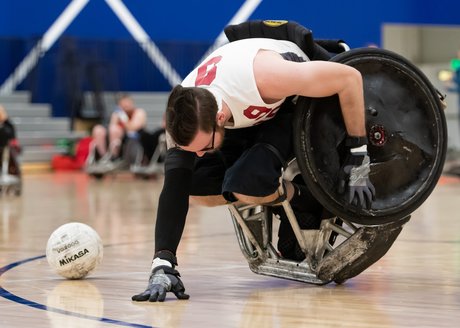 Foxy Disaster 高品質女優 写真