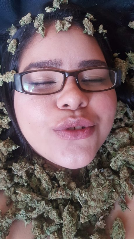 Giuska420 xxxポルノスター アーカイブ