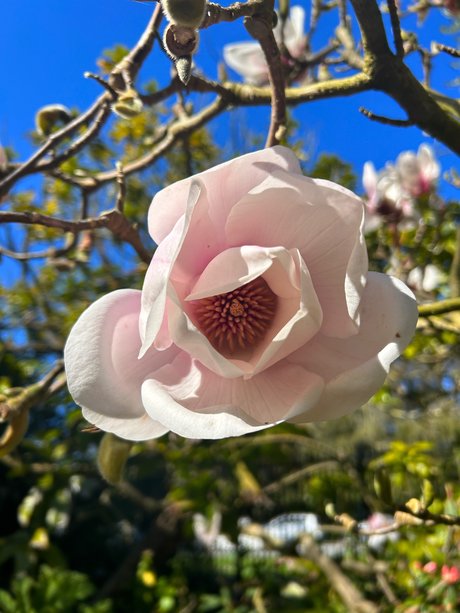 asmr ジンジャー オンリーファンズ 無料セクシー 写真