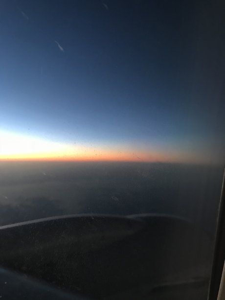 IAM アートポルノスター ギャラリー