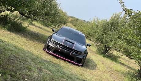 Jon VIP_ スター 裸 写真