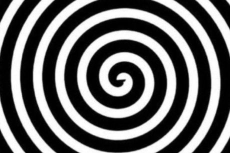 Hothoneypot 高品質女優 写真