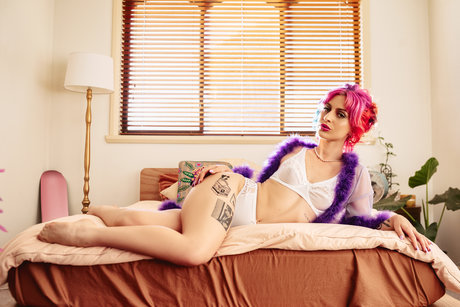 Nova Zone ヌードのポルノスター アーカイブ