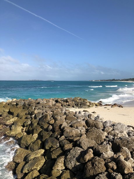 Robert Banks_ ポルノスター エロティック アーカイブ