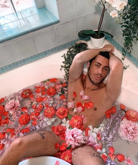 Ettore xxx女優 ギャラリー