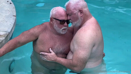 Williamspsny 完璧なスター 画像