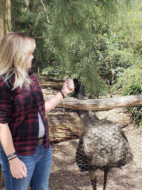 Wulf ホットモデル 画像