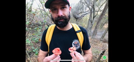 Millo 完璧な女優 写真