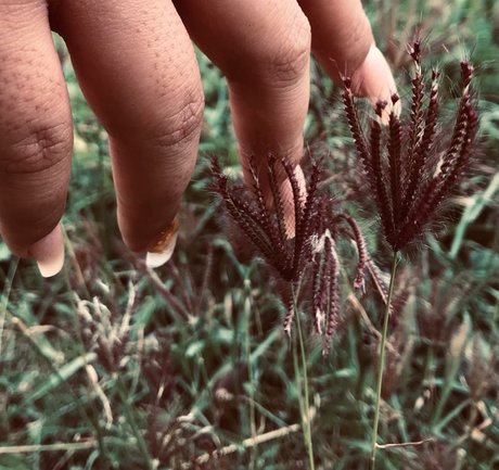 Totoro 完璧なスター 画像