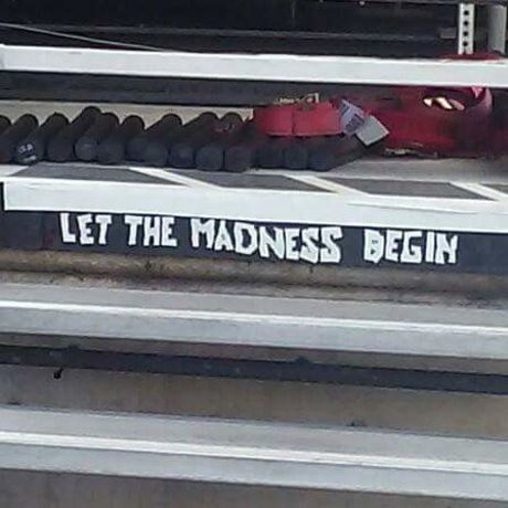 Ask me 素敵なスター ギャラリー