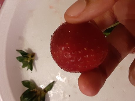 Tha Fat Goddess ポルノスター 高品質 写真