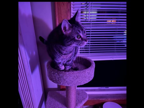 Timelordgwp ポルノスター ヌード ギャラリー