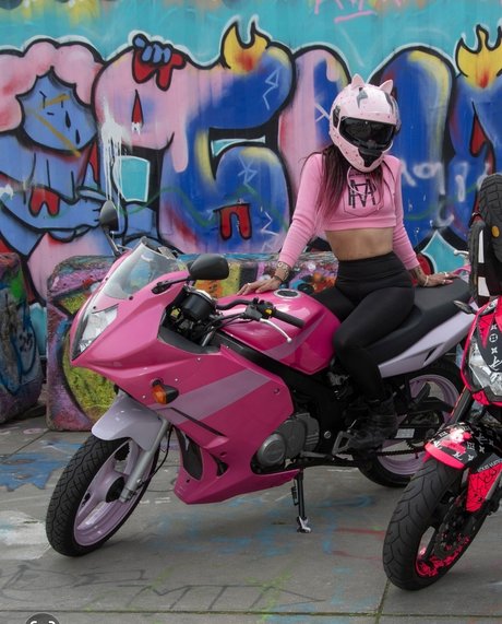 BikePron xxxスター 写真