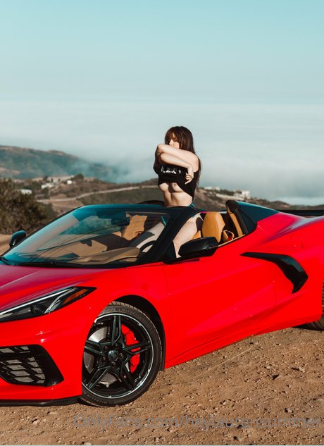 黒檀ペッギングオンリーファンズ 美しい アーカイブ