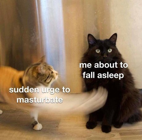 アマチュアディープスロートオンリーファンズ アダルト 写真