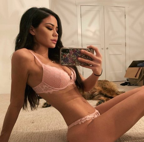 Peyzki スター ギャラリー