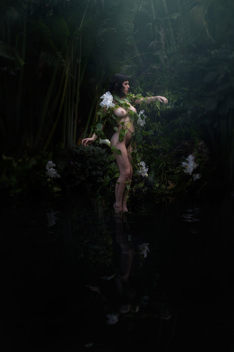 Olive Glass 最高のスター 画像