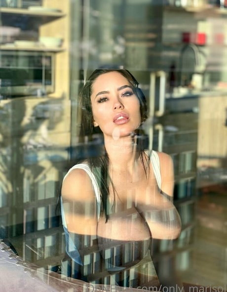 marisol yotta 限定モデル 画像