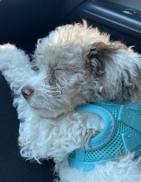 im over covid エロティック女優 写真