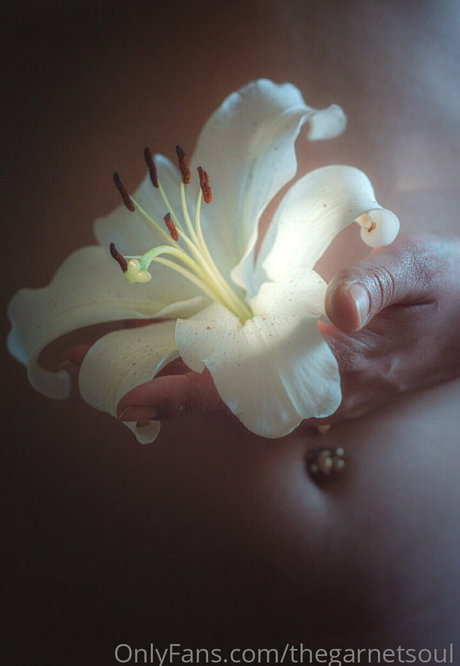 thegarnetsoul ポルノスター エロティック ギャラリー