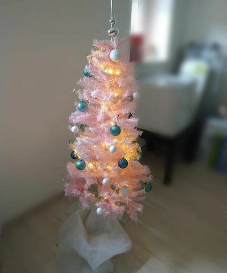 JOI オンリーファンズ ベスト 写真