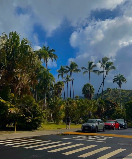 オンリーファンズを崇拝する ポルノグラフィック 画像