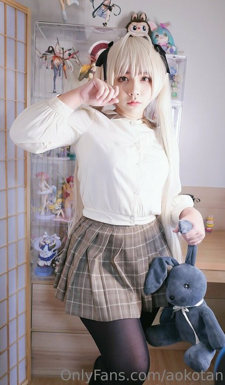 Aokotan 限定モデル 画像