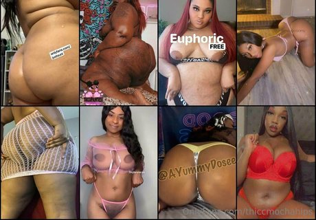 thiccmochahips ポルノスター アーカイブ