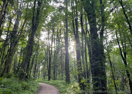 marstonhefner 女優 画像