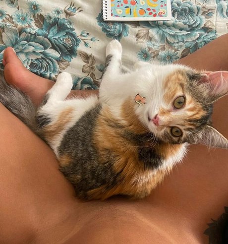 ドイツのアマチュアオンリーファンズ エロチック ギャラリー